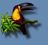 PNG 8 bits avec fond opaque